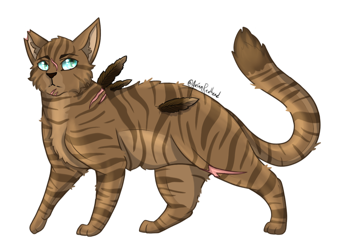 Shell feathers! by RedHead